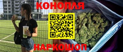 шишки Будённовск