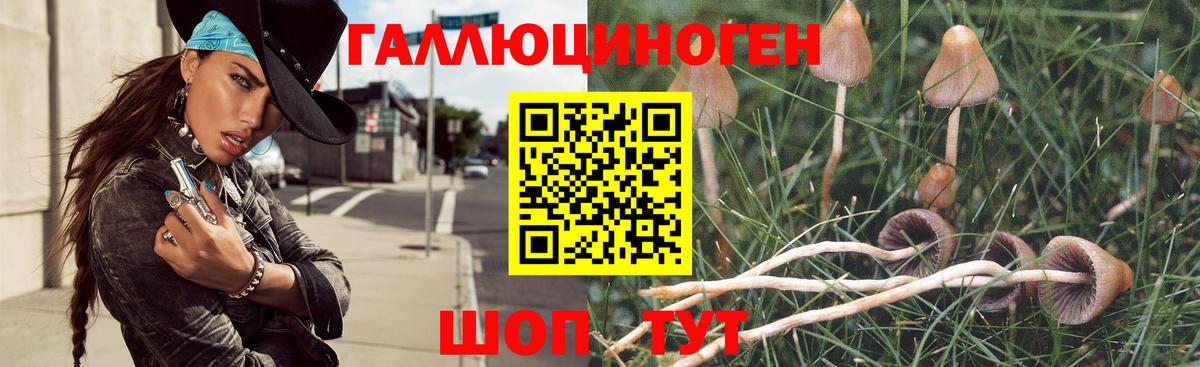 Псилоцибиновые грибы мухоморы Истра