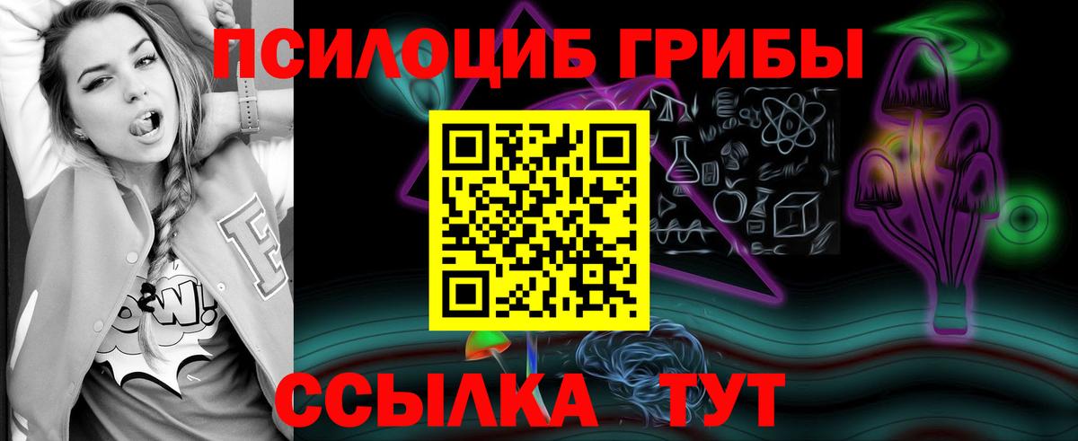 Истра  Галлюциногенные грибы мицелий  Галлюциногенные грибы Magic Shrooms  Вход с VPN 